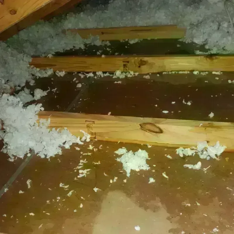 Attic Water Damage in Hoquiam, WA